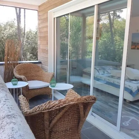Maison La Palmyre, 6 Pieces, 12 Personnes - Fr-1-305-1431 *